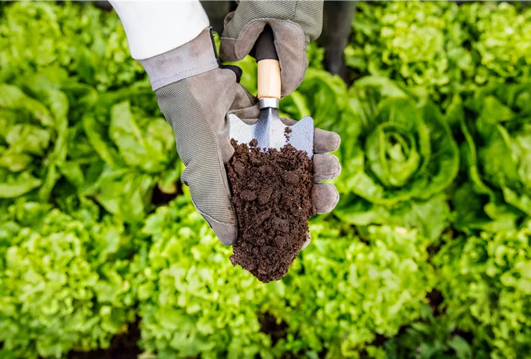 Erde auf Pflanzkelle