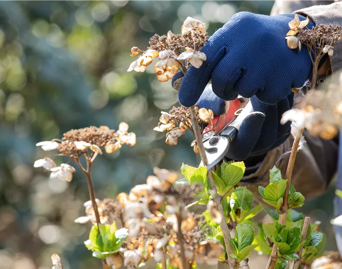 Frühjahrsputz im Garten – Das steht jetzt an