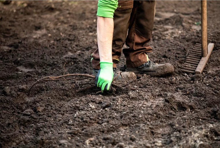 Gartenbau - Wurzeln entfernen