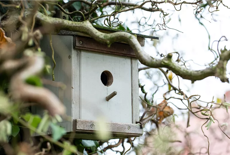 Vogelhaus