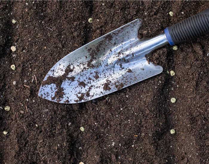 Mit dem passenden Saatgut für das Gewächshaus Gemüse anbauen