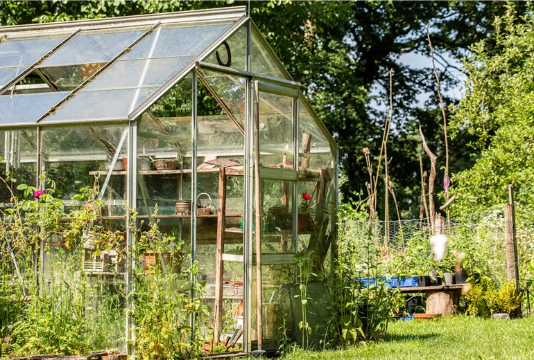 Gewächshaus