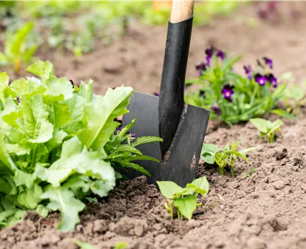 Hilfreiches und praktisches Zubehör zum Gärtnern