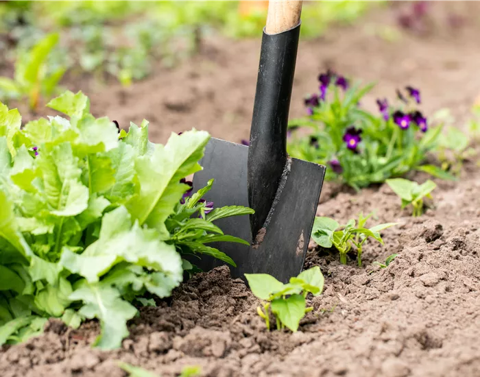 Hilfreiches und praktisches Zubehör zum Gärtnern