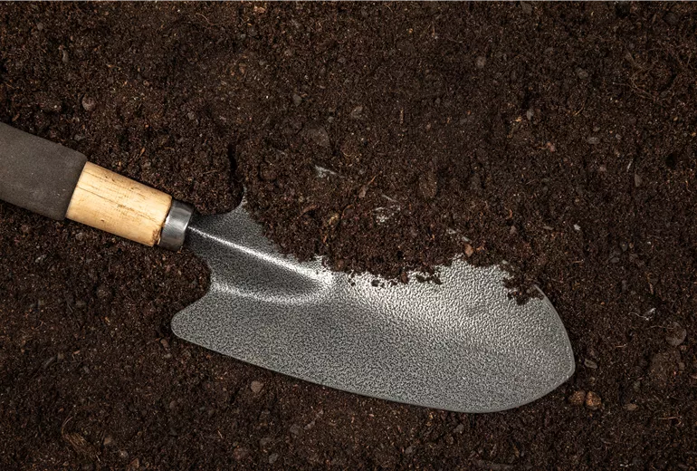 Gartenwerkzeuge auf Erde