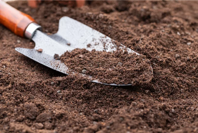 Handschaufel mit Erde