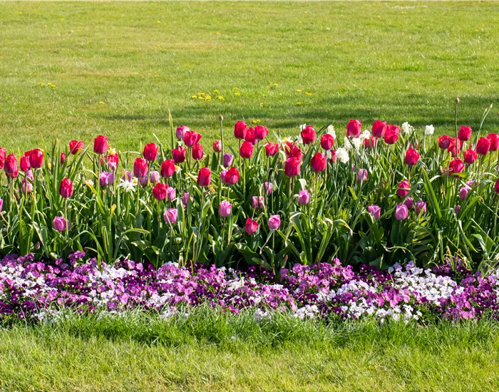 Wie ein pflegeleichter Garten gestaltet wird