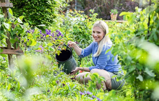 Gartenarbeit im Sommer – Damit’s nicht zu heiß wird!
