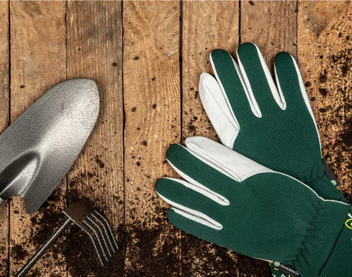 Rechtzeitig für das kommende Gartenjahr den Garten vorbereiten