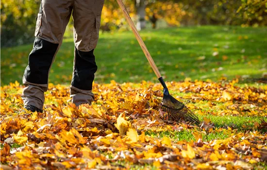 Gartenarbeit im Herbst – Das ist jetzt wichtig