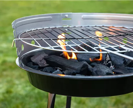 Gartengestaltung mit Grills – Schön anzusehen und praktisch