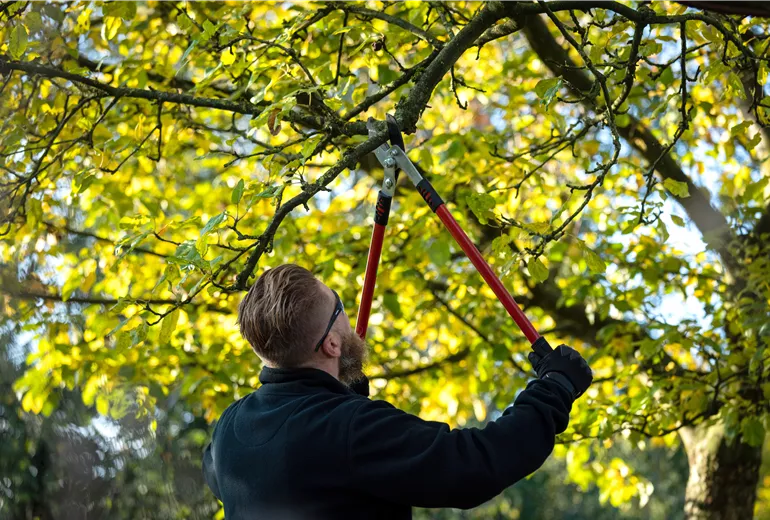 Gartengeräte - Mann mit Astschere