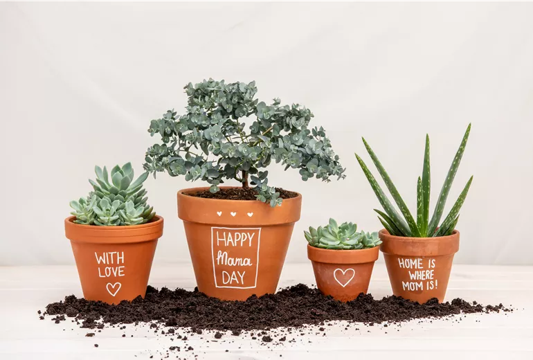 Muttertag - Bepflanzte Töpfe mit Aufschrift