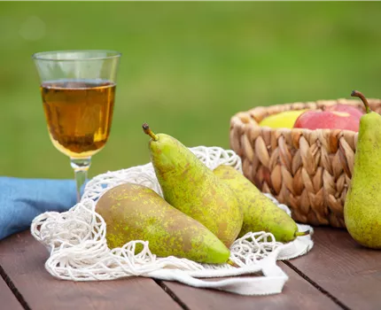 Birnen aus dem eigenen Garten genießen