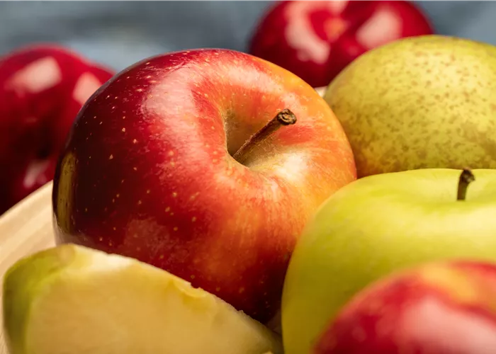 Kern- und Steinobst im eigenen Garten für kleine und große Naschkatzen