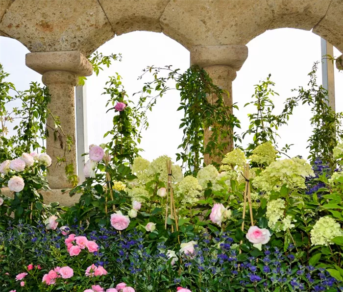 Gartencenter 18.jpg Gartencenter 18.jpg