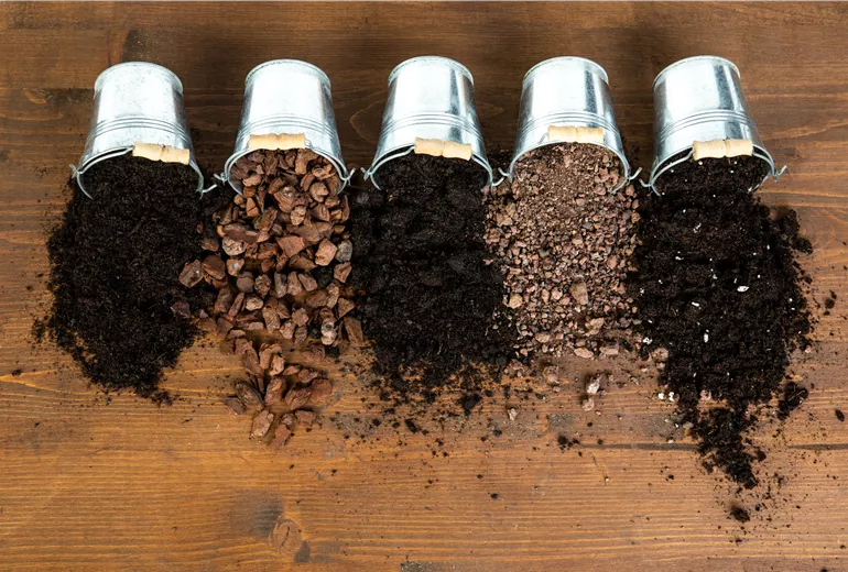 Verschiedene Sorten von Erde