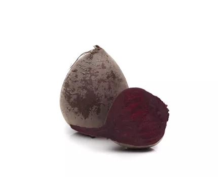 Beta vulgaris ssp. vulgaris