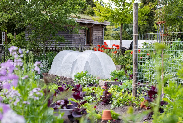 Gemüsebeet mit Pflanztunnel