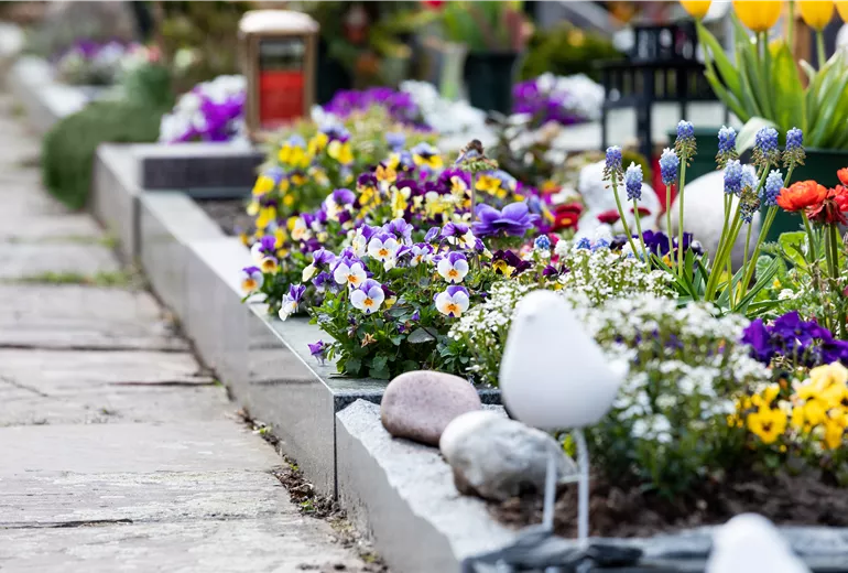 Grabgestaltung - Bepflanzung