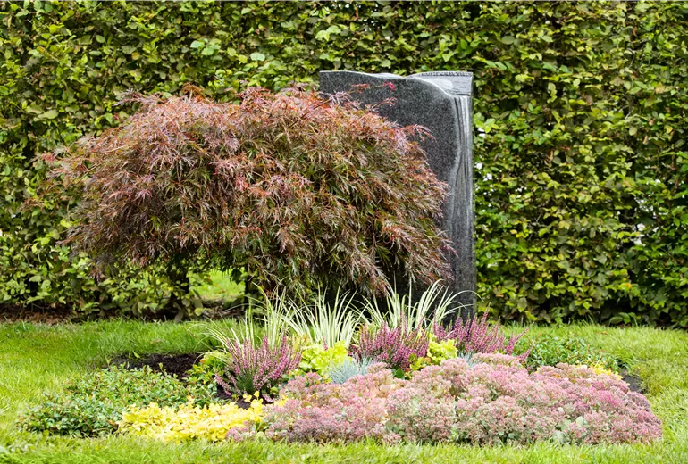 Grabbepflanzung Herbst