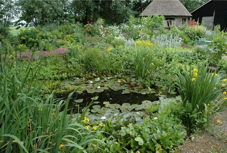 Gartenteich mit Seerosen
