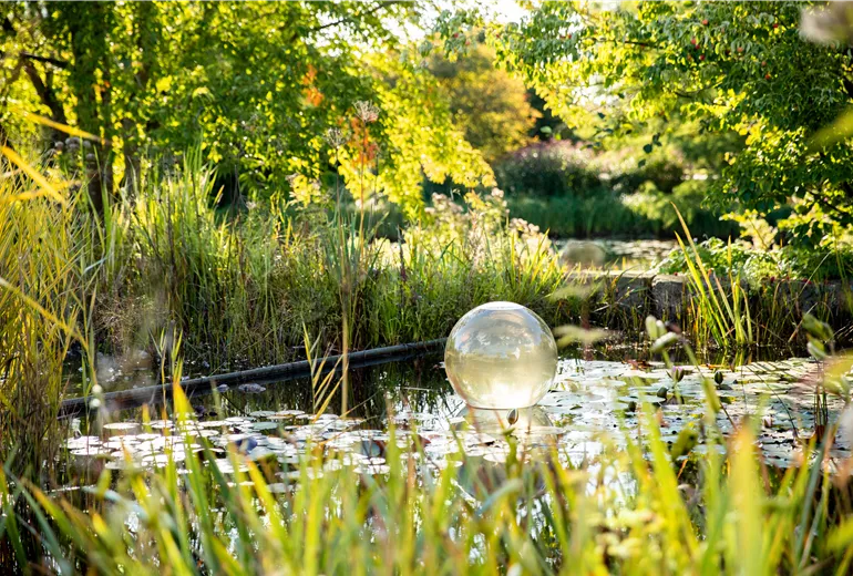 Gartenteich im Herbst