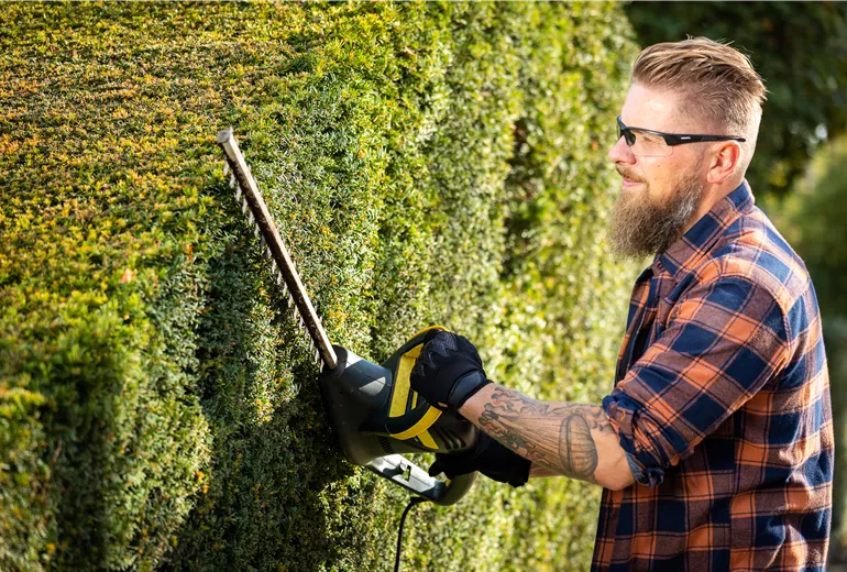 Gartengeräte - Mann mit elektrischer Heckenschere