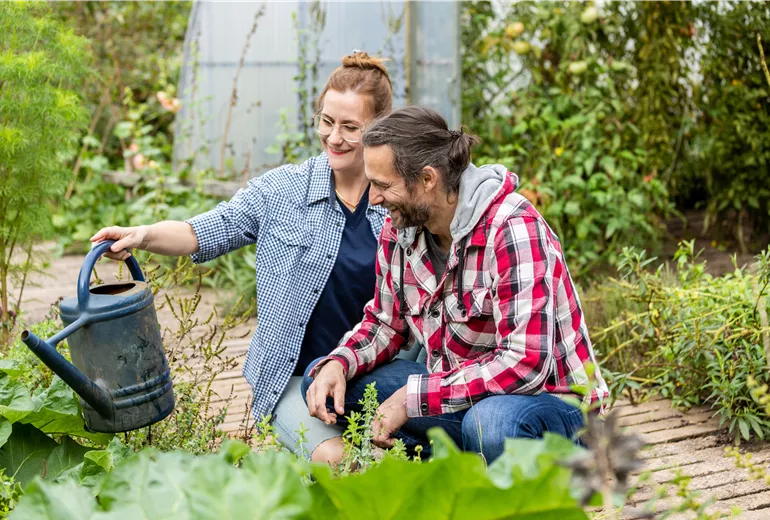 Gartenarbeit im Herbst