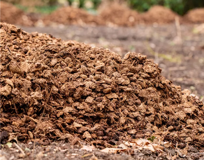 Mulchen leicht gemacht – mit unseren 10 Tipps