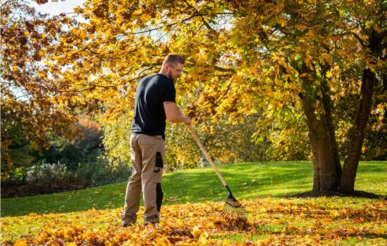 Gartenarbeit im September: Der Herbst beginnt mit bunten Farben
