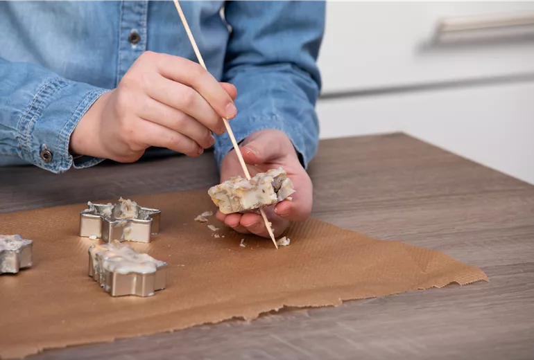 Vogelfutter herstellen