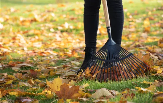 Gartenarbeit im Oktober - Letzte Vorbereitungen vor dem Winter
