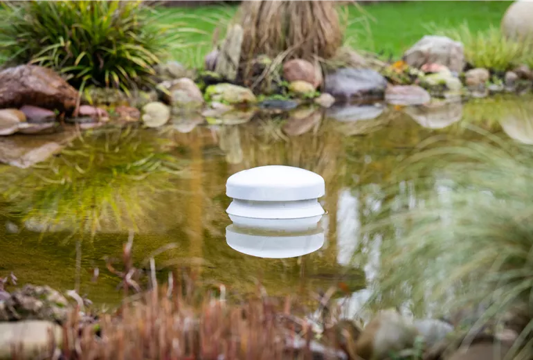 Frostschutz - Eisfreihalter im Teich