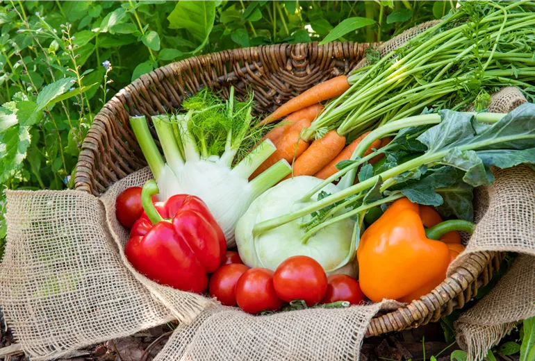 Gemüse im Korb