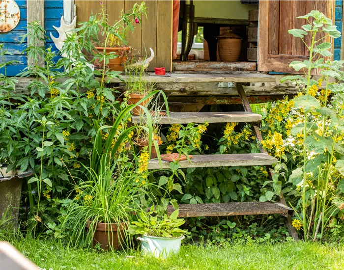 Nachhaltig gärtnern mit unseren 10 Tipps