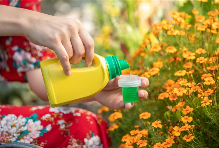 Dünger - Zitrusdünger