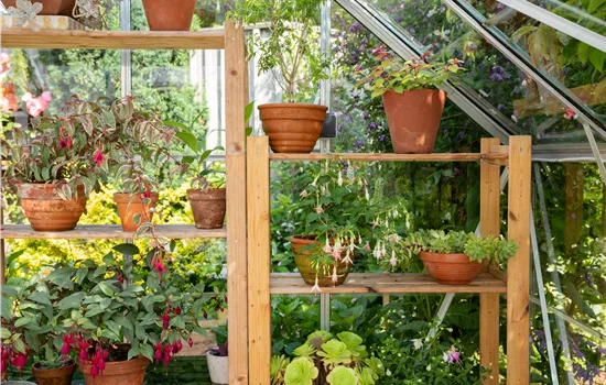 Balkongewächshaus - Gärtnern auf kleinstem Raum
