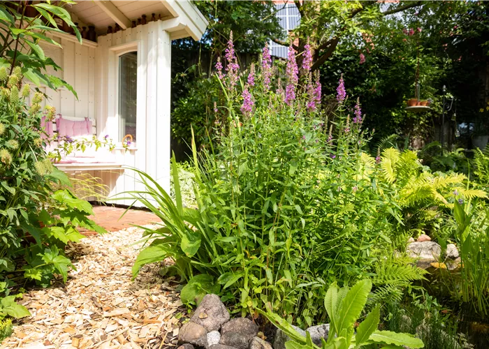 Permakultur im Garten – Nachhaltig und naturnah