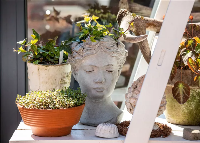 Einen Topfgarten anlegen - Viel Pflanzen und wenig Platz