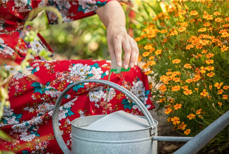 Dünger - Flüssigdünger in Gießkanne geben