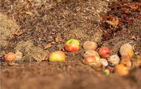 Kompost – Das Gold des Gartens kennenlernen