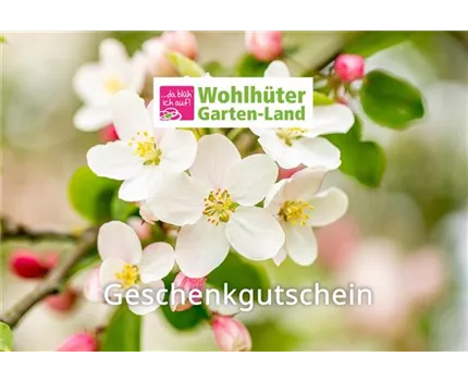 Gutscheine
