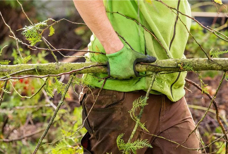 Gartenbau - Ast tragen