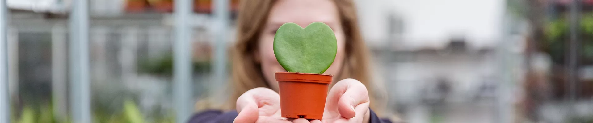 Einkauf im Pflanzengroßmarkt - Frau hält Pflanze