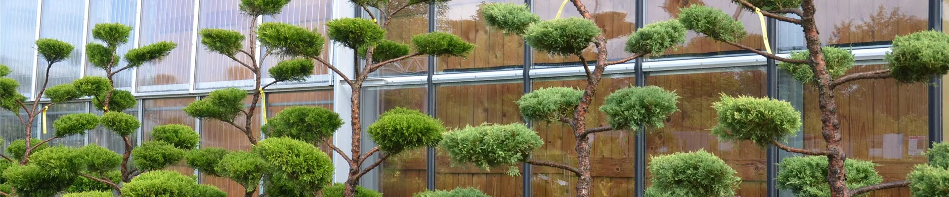 DSC_9069-23-15-3647-2415