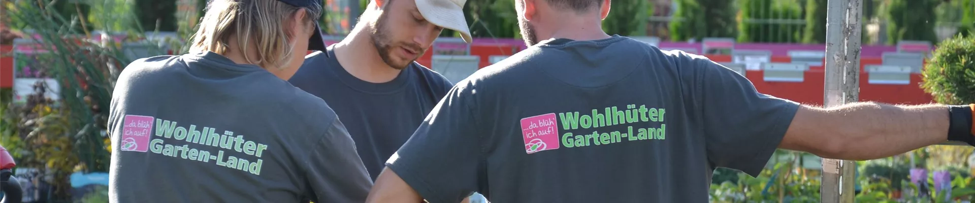 DSC_8460-0-31-3647-2416