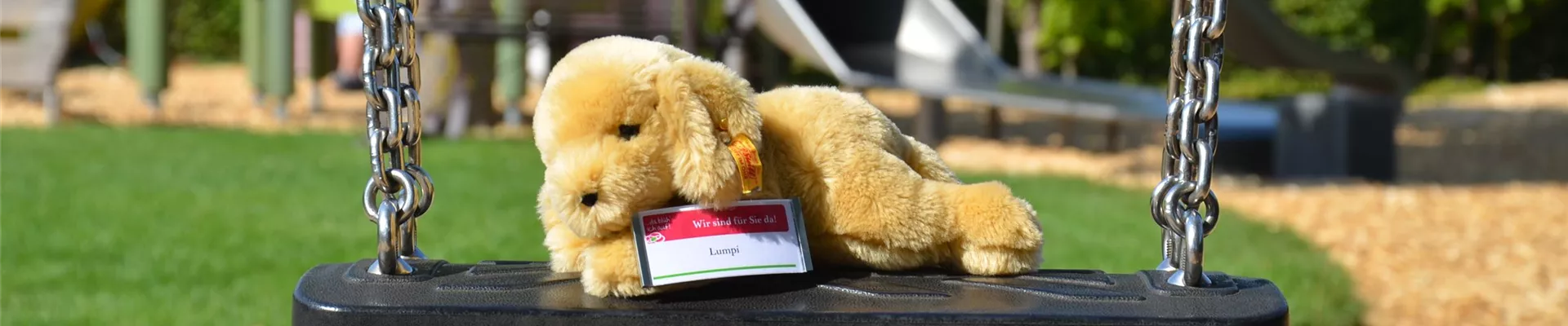 DSC_9726-0-369-3696-2079