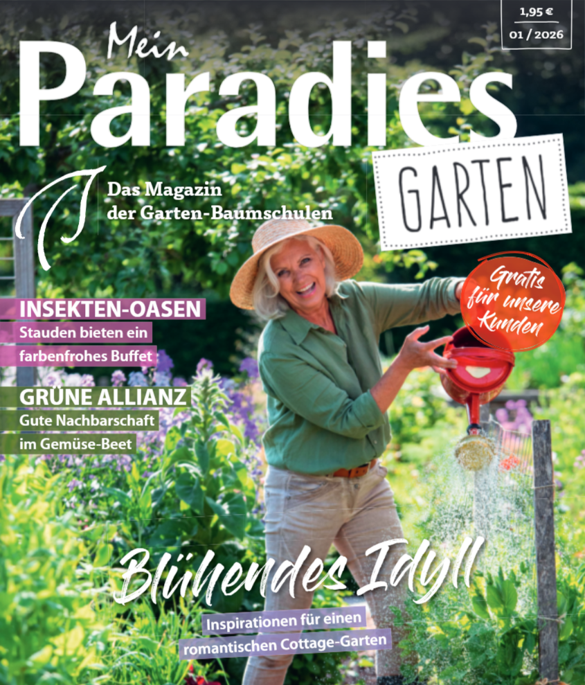 Mein Paradies 2026
