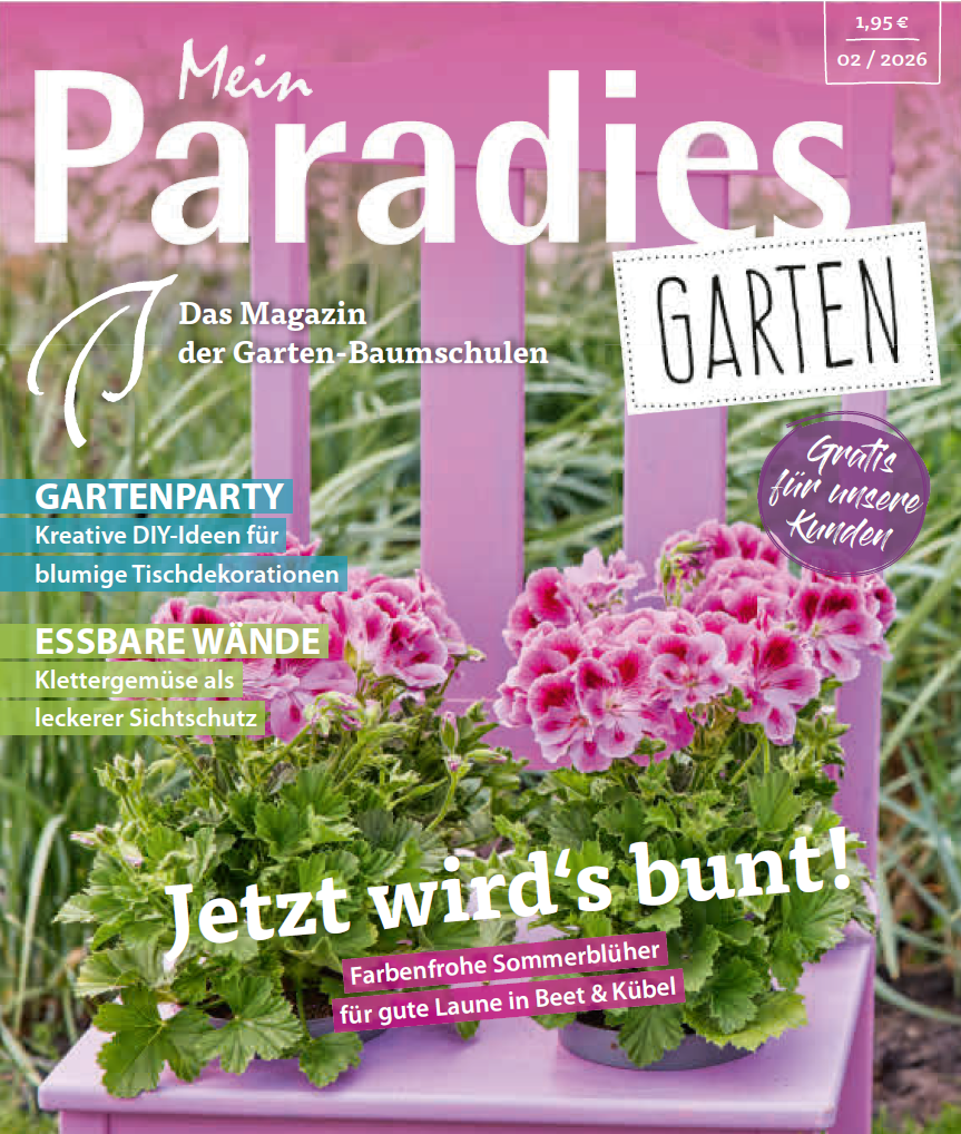 Mein Paradies 2026 2